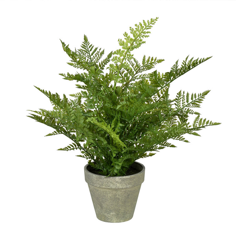 Birch Lane™ 19'' Faux Fern Plant in Pot & Reviews Wayfair